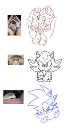 Choose your hedgehog!