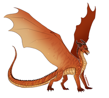 [Wings of Fire/Warriors] - Firestar the SkyWing