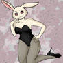 Haru Bunnysuit