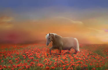 a horse in poppies