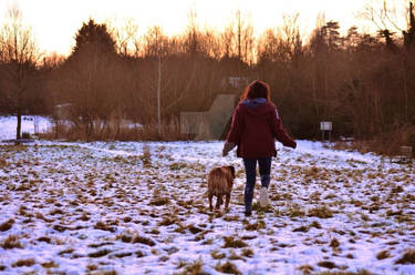 Winter Walks