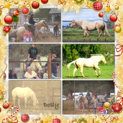 Christmas Collage: Dolly