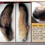 SOLD Gray Fox tail