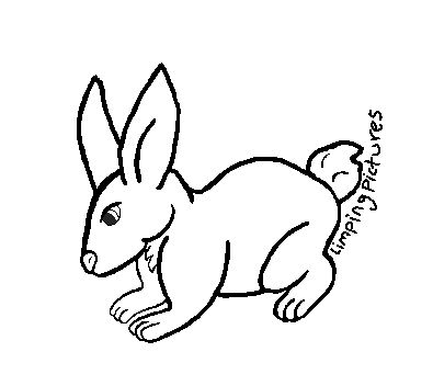 Rabbit by LimpingPictures on DeviantArt