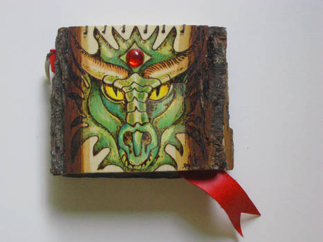 DRAGON BOOK.