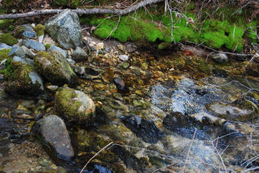 Vibrant Creek
