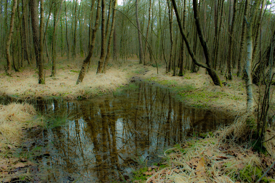 autour du lac de sille le guillaume