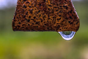 the drop of Carrouge Orne France