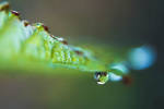 Goutte19 by hubert61