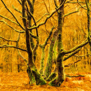 Le Mur Jaune2 by hubert61 Le Mur Jaune2 by hubert61