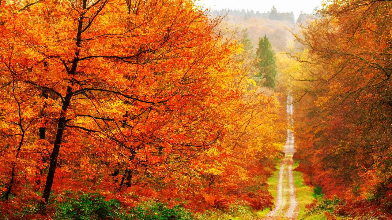 Les couleurs de l automne 4 by hubert61 on DeviantArt