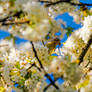 Toute la nature