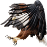 Eagle PNG