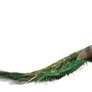 Peacock PNG