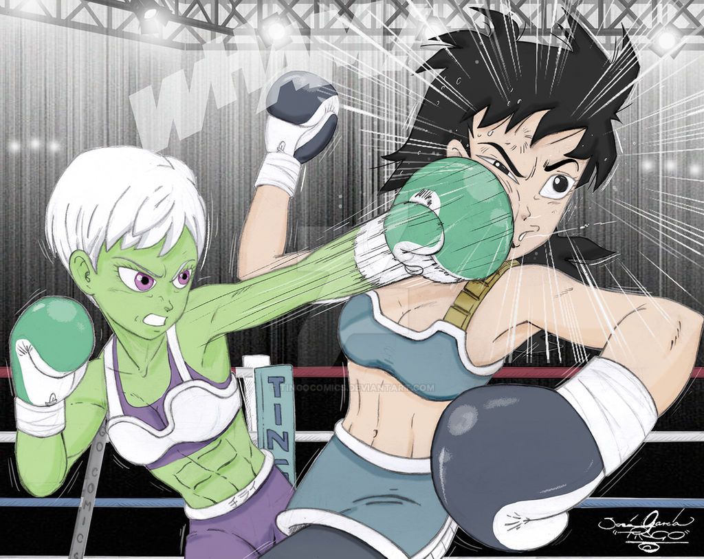 Cheelai vs Gine boxing commission