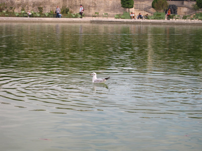 PARIS: Jardin des Tuileries 04