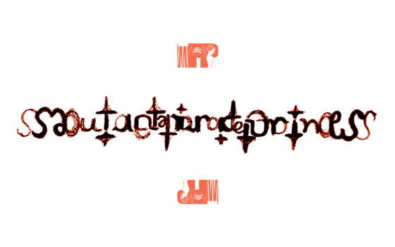 Ambigram: MutantPiratePrincess