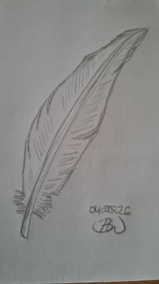 Sketch: Feather