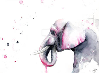 watercolor elephant