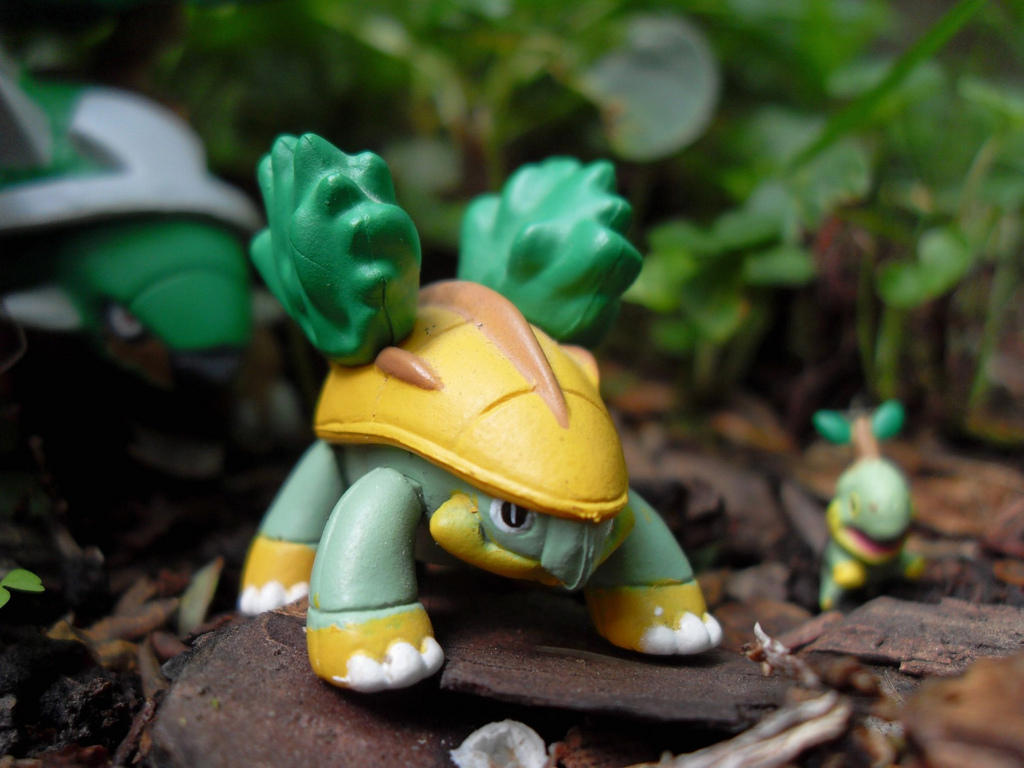 Grotle Deviantart Grotle by bucas1 on DeviantArt