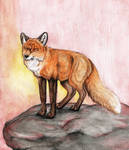 Little Red Fox by Gray-Ghost-Creations