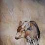 WIP Deer Watercolor Painting