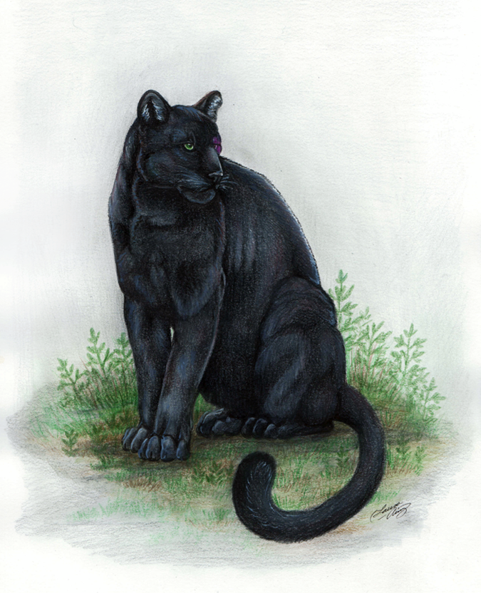 Black Panther by Gray-Ghost-Creations on DeviantArt