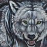 Gray Werewolf ACEO