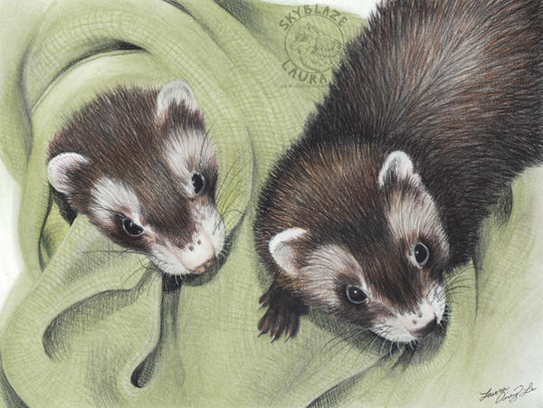 Julian and Cosmo by Gray-Ghost-Creations Julian and Cosmo by Gray-Ghost-Creations