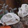 Lion and Leopard Hand Made Skulls