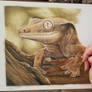 Crested Gecko Work In Progress