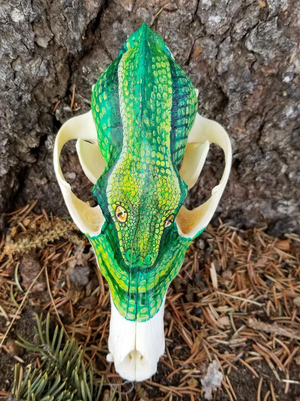 Tree Python Snake Skull Green Tree Python on Coyote Skull by Gray-Ghost-Creations on DeviantArt