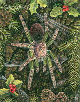 Holiday Tarantula