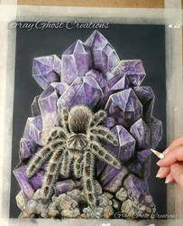 Amethyst Tarantula