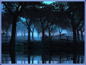 Moonlight Forest