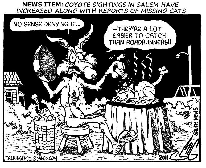 Coyotes in Salem by Smigliano