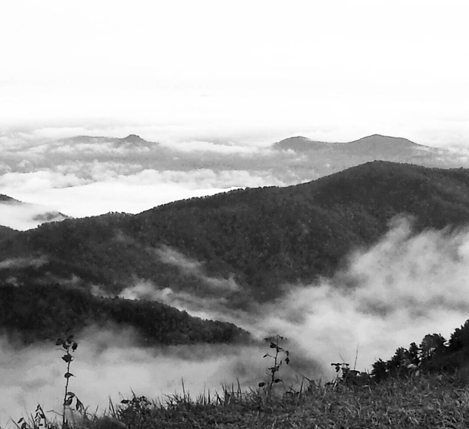 Fog in the Mountains