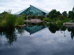 Arboretum 'ABQ Biopark' by Michaeldavitt