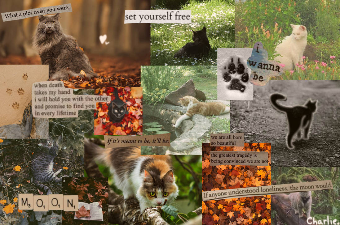 Otherhearted cat otherhearted/therian wallpaper by goofybatz on DeviantArt