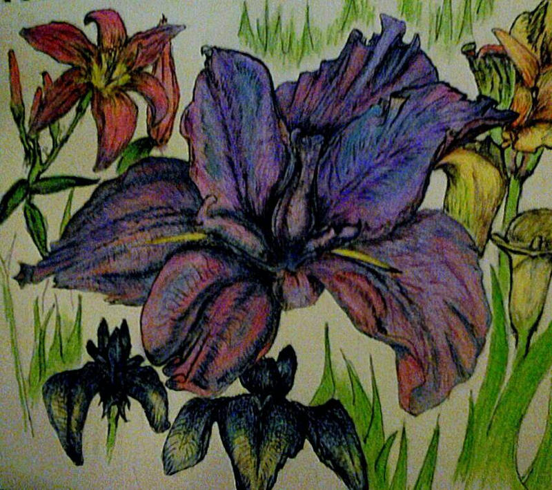 Cast Of Iris By Sonnybuddha On DeviantArt cast-of-iris-by-sonnybuddha-on-deviantart