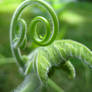 tendril