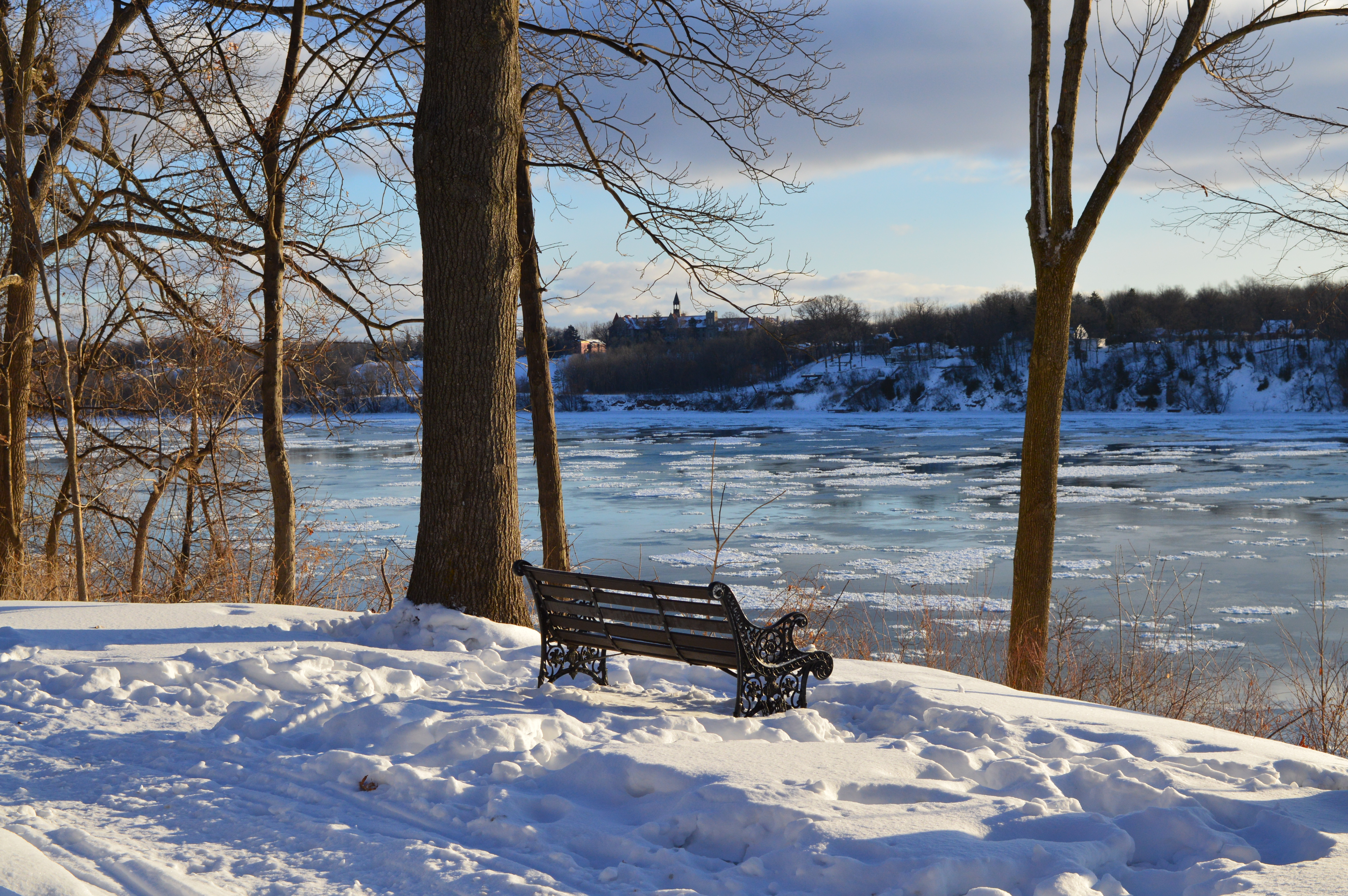 Bench of Winter Romance