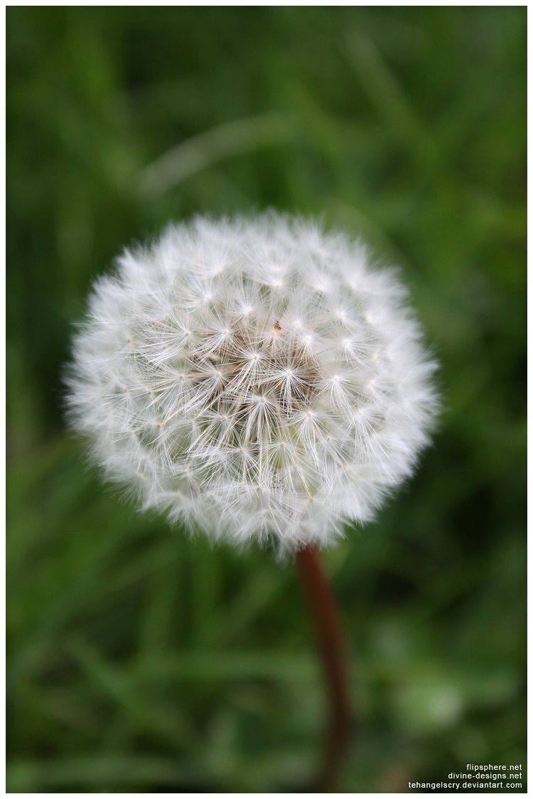 Cloud on a Stick