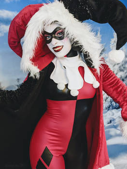 Winter Harley Quinn - Winter Wonderland