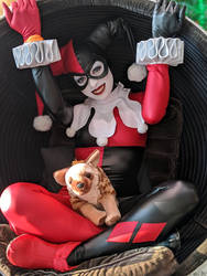 Hush Harley Quinn - Playtime