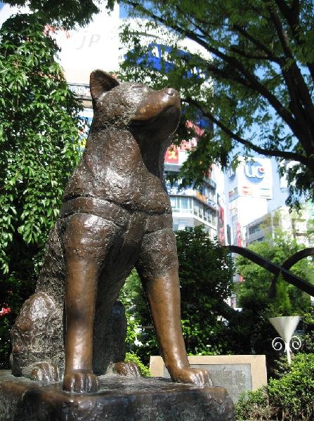 Hachiko