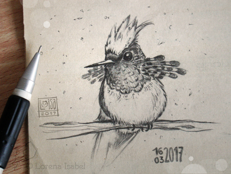 # 08 - Tufted Coquette -