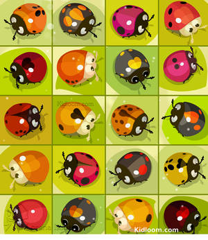Many many ladybugs