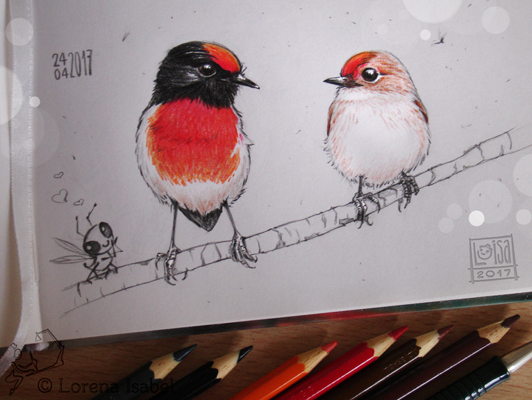 # 41 - Red capped Robin -