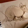 Day 2  - Armadillo -